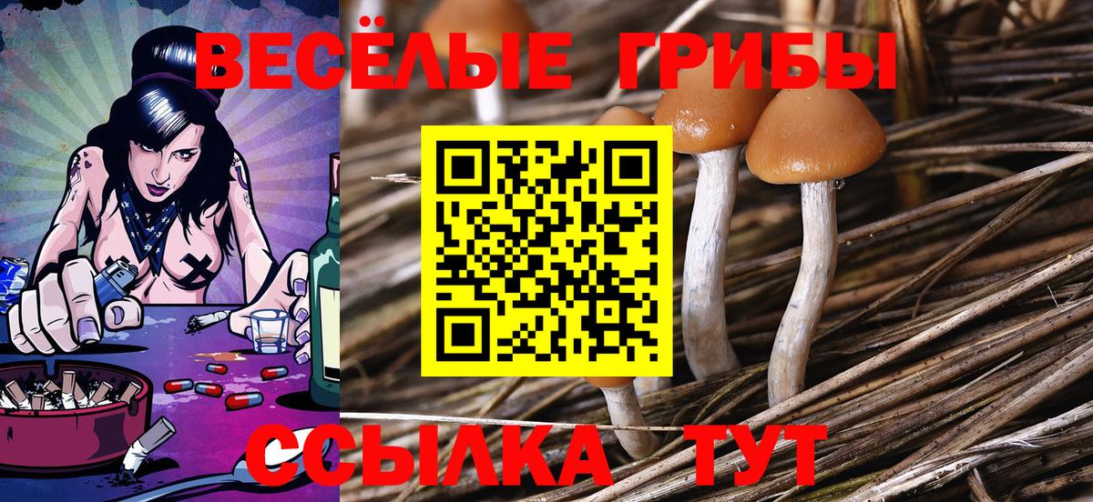 Галлюциногенные грибы Cubensis Конаково