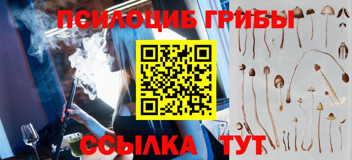 Псилоцибиновые грибы GOLDEN TEACHER  Вход с VPN  Конаково 